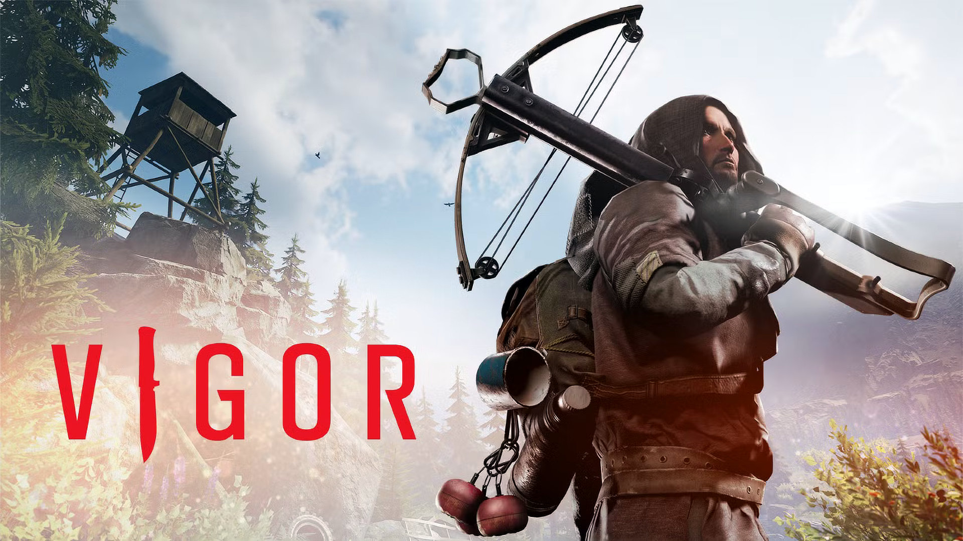Vigor Cover