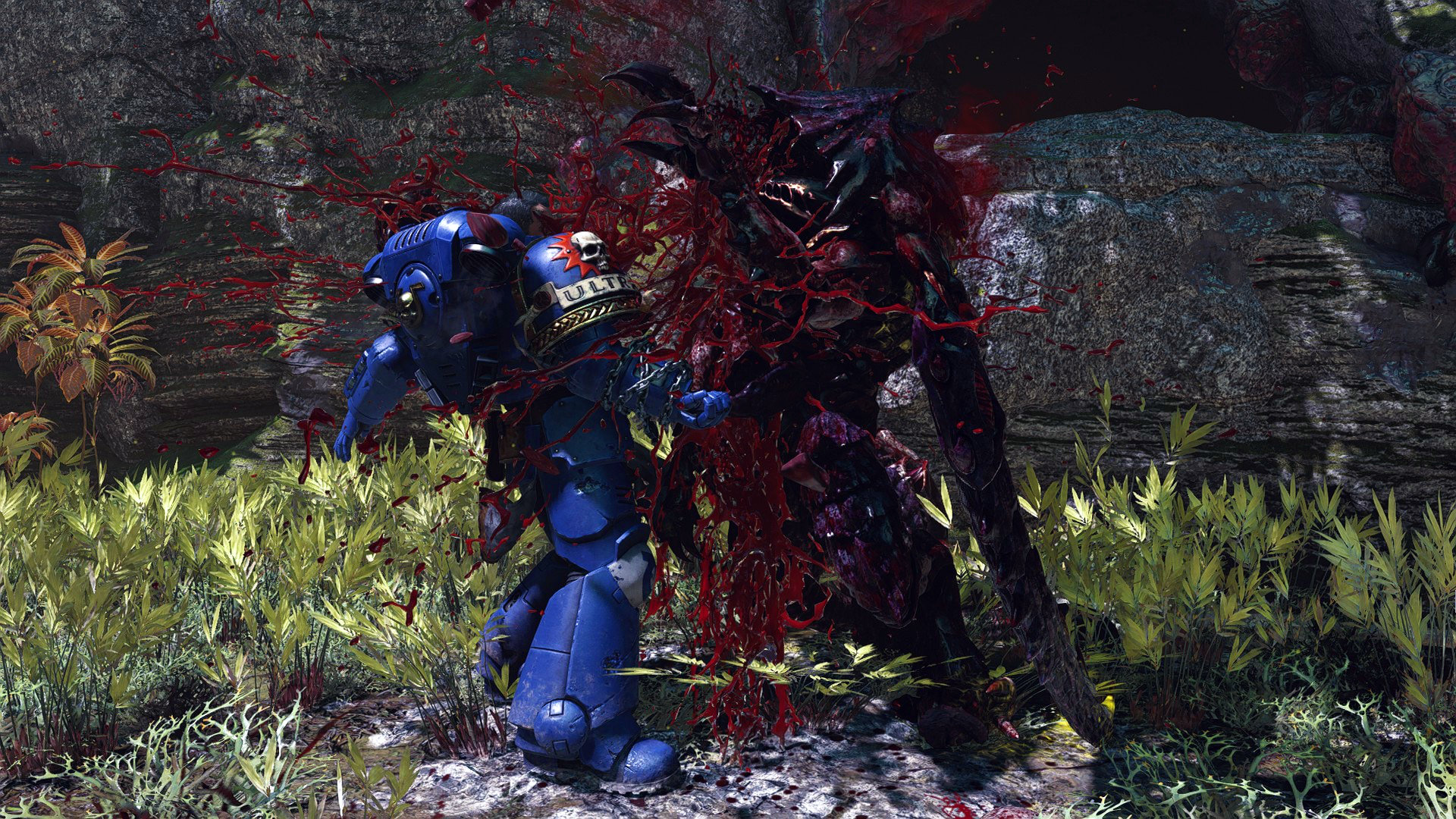 Gameplay Screenshot